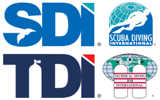 Logo SDI/TDI